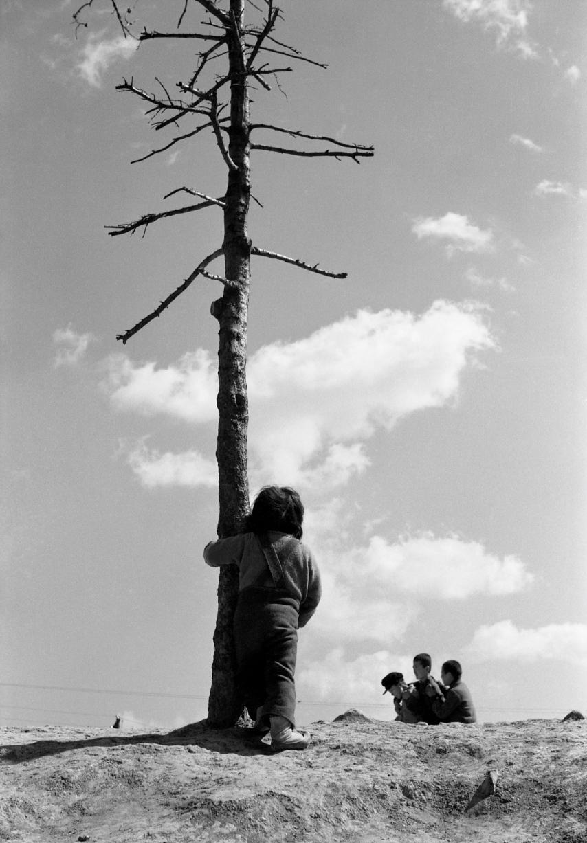 17사-2592, 정인성, 1952 부산 영도 - 기다림.jpg